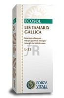 Les Tamarix Gallica Tamarisco 50 Ml.