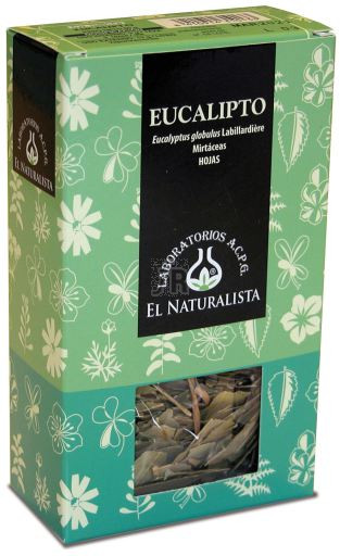 Eucalipto Planta 160 Gr. - El Naturalista