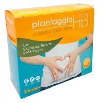 Plantaggio HB 20 Viales